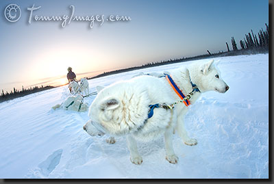 Canada Photos